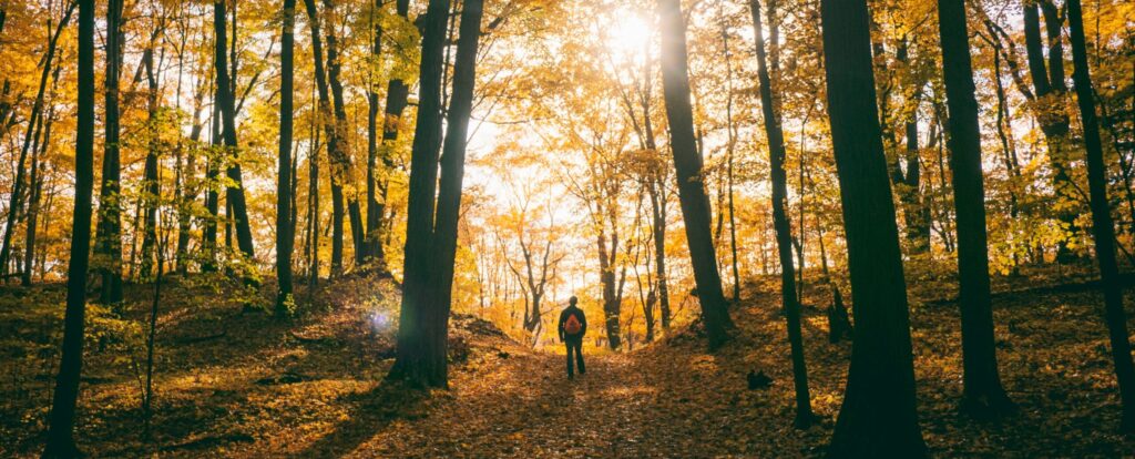 Het nut van wandelen voor je vitaliteit